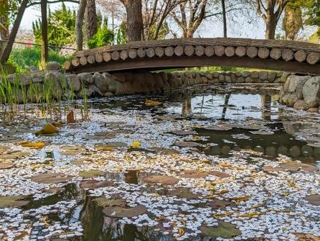 🌳 이시바시 기념공원(이시바시 키넨 코엔) 이미지 8